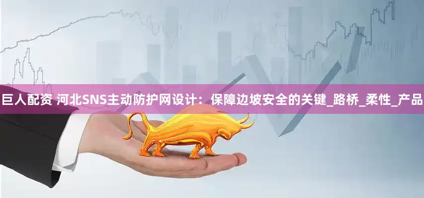 巨人配资 河北SNS主动防护网设计：保障边坡安全的关键_路桥_柔性_产品