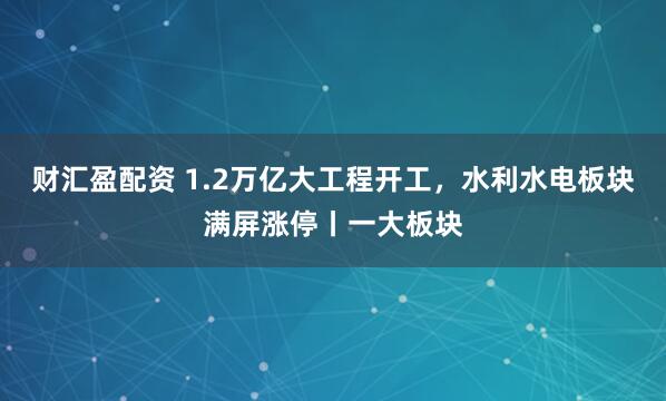财汇盈配资 1.2万亿大工程开工,水利水电板块满屏涨停丨一大板块